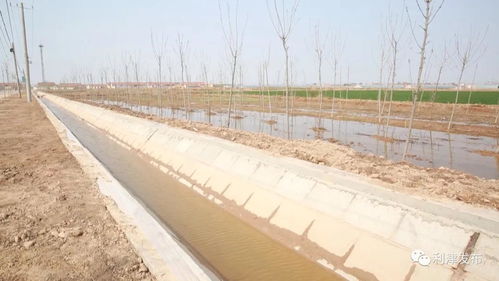利津 高标准农田建设项目促进农业增效农民增收