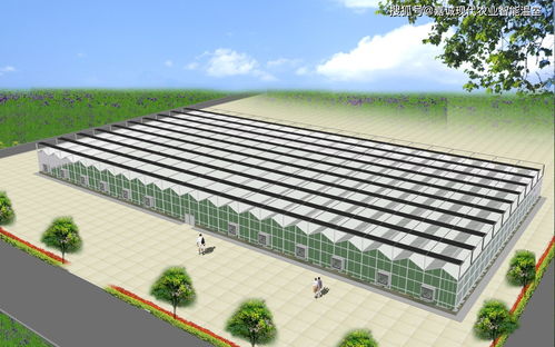 计划做现代设施农业要了解的几种温室大棚样式